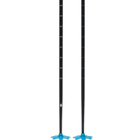Expedition Ski Poles - Desert Sky