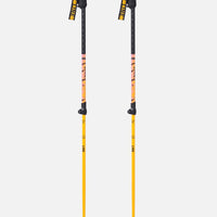 Vision Ski Poles - Orange
