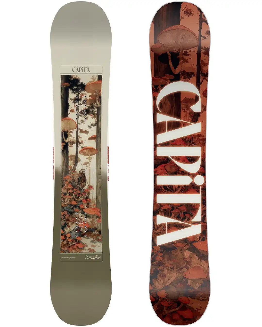 Paradise Women's Snowboard 2026