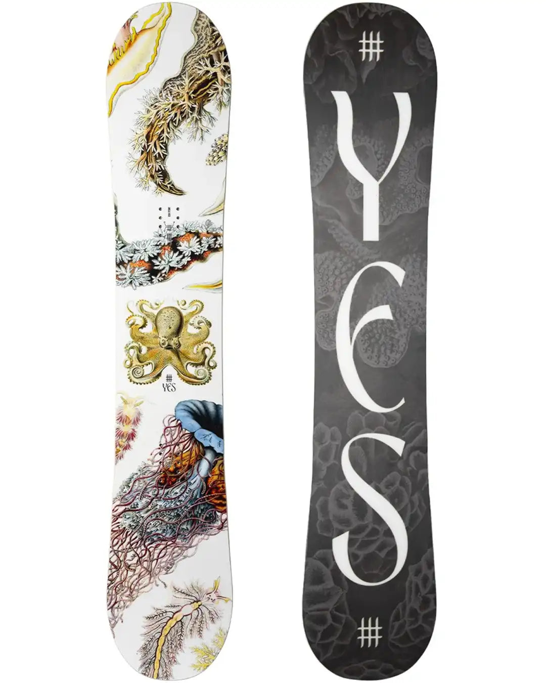 Snowboard Hel Yes Womens 2026