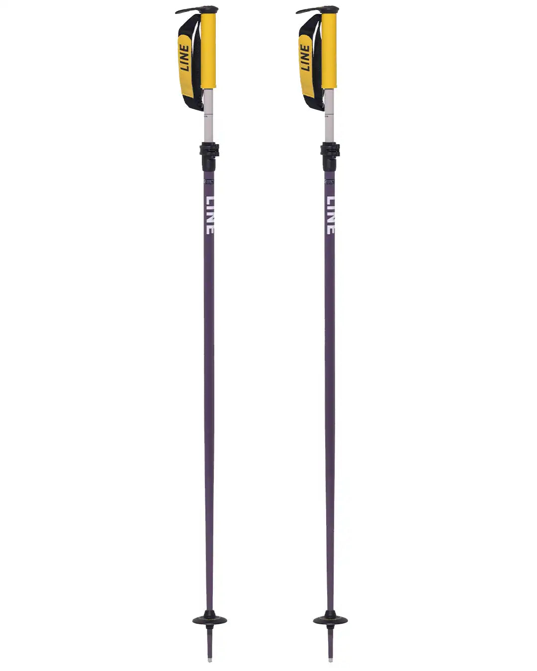Paintbrush Ski Poles 2026