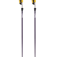Paintbrush Ski Poles 2026
