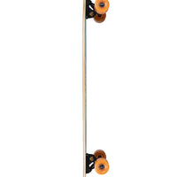 Longboard Complet Pintail Artist Fish 37