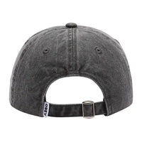 Pigment Bold 6 Panel Hat - Black