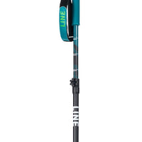 Paint Brush Ski Poles - Black/Green