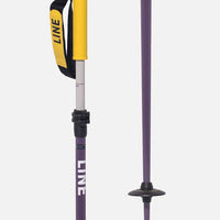 Paintbrush Ski Poles 2026