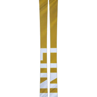 Vision 96 Skis 2026