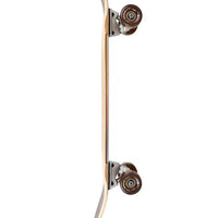 Foundation Pilsner 28.75 Complete Cruiser Skateboard