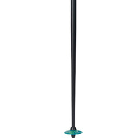 Paint Brush Ski Poles - Black/Green