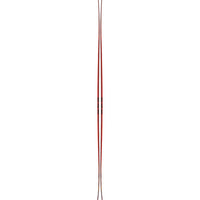 Reckoner 110 Skis 2026