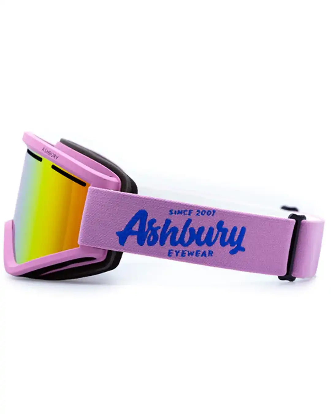 Blackbird Goggles - Leonard 2026