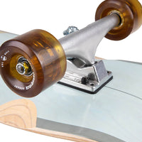 Foundation Shakedown 34 Complete Cruiser Skateboard