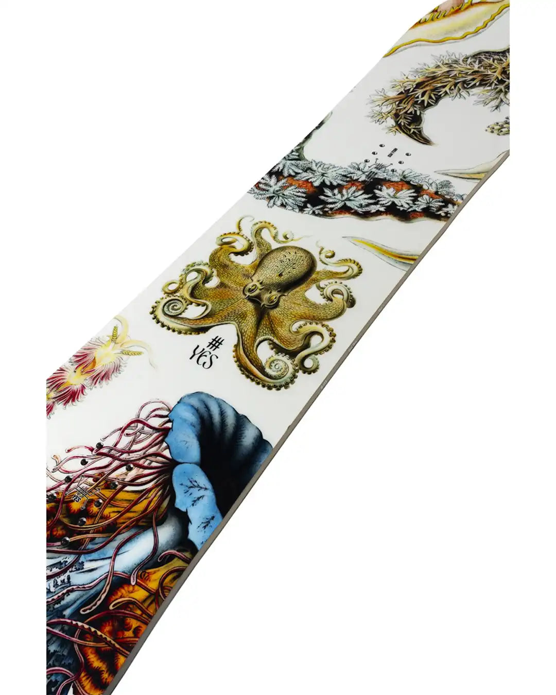 Snowboard Hel Yes Womens 2026