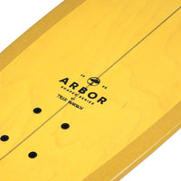 Cruiser Complet Carver Tyler Warren Shaper Surfskate