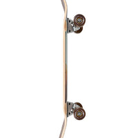 Foundation Shakedown 34 Complete Cruiser Skateboard