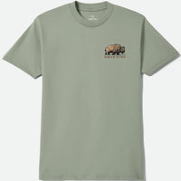 T-Shirt Coba Standard - Desert Green