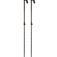 Line Vision Ski Poles - Black Gold