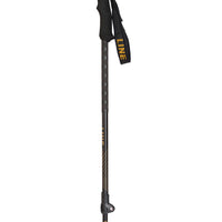 Line Vision Ski Poles - Black Gold