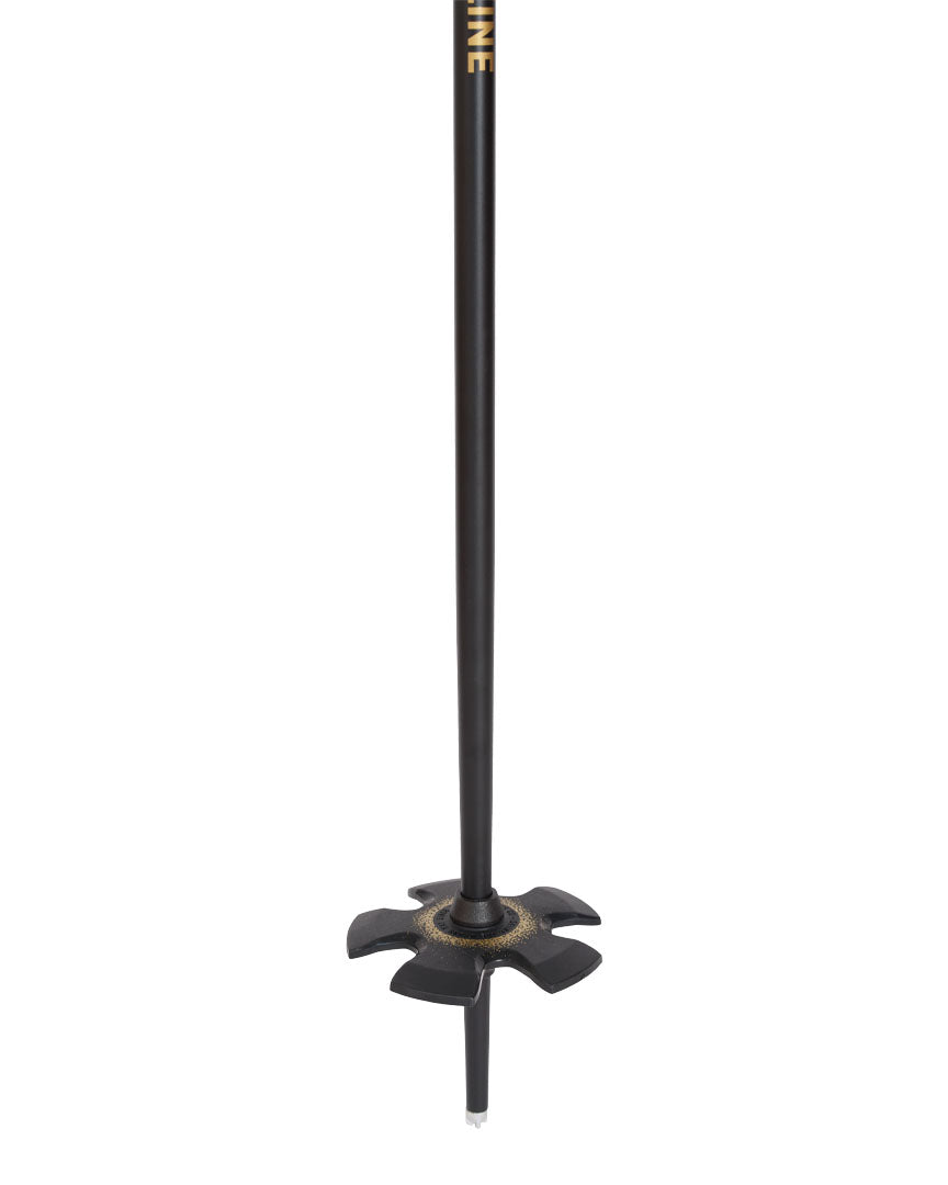 Line Vision Ski Poles - Black Gold