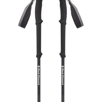 Pôles de ski Vapor Carbon Ski Poles