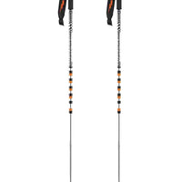 Pin Ski Poles - Silver