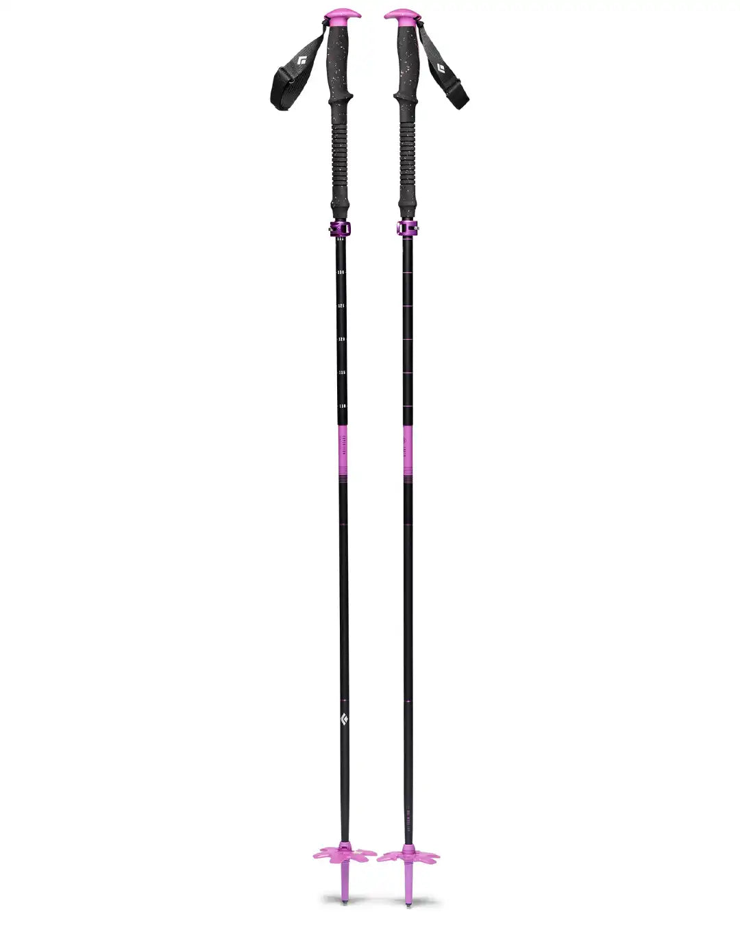 Expedition Compactor Splitboarding Poles - Piton Purple
