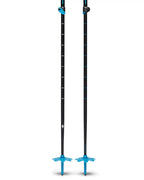Expedition Ski Poles - Desert Sky