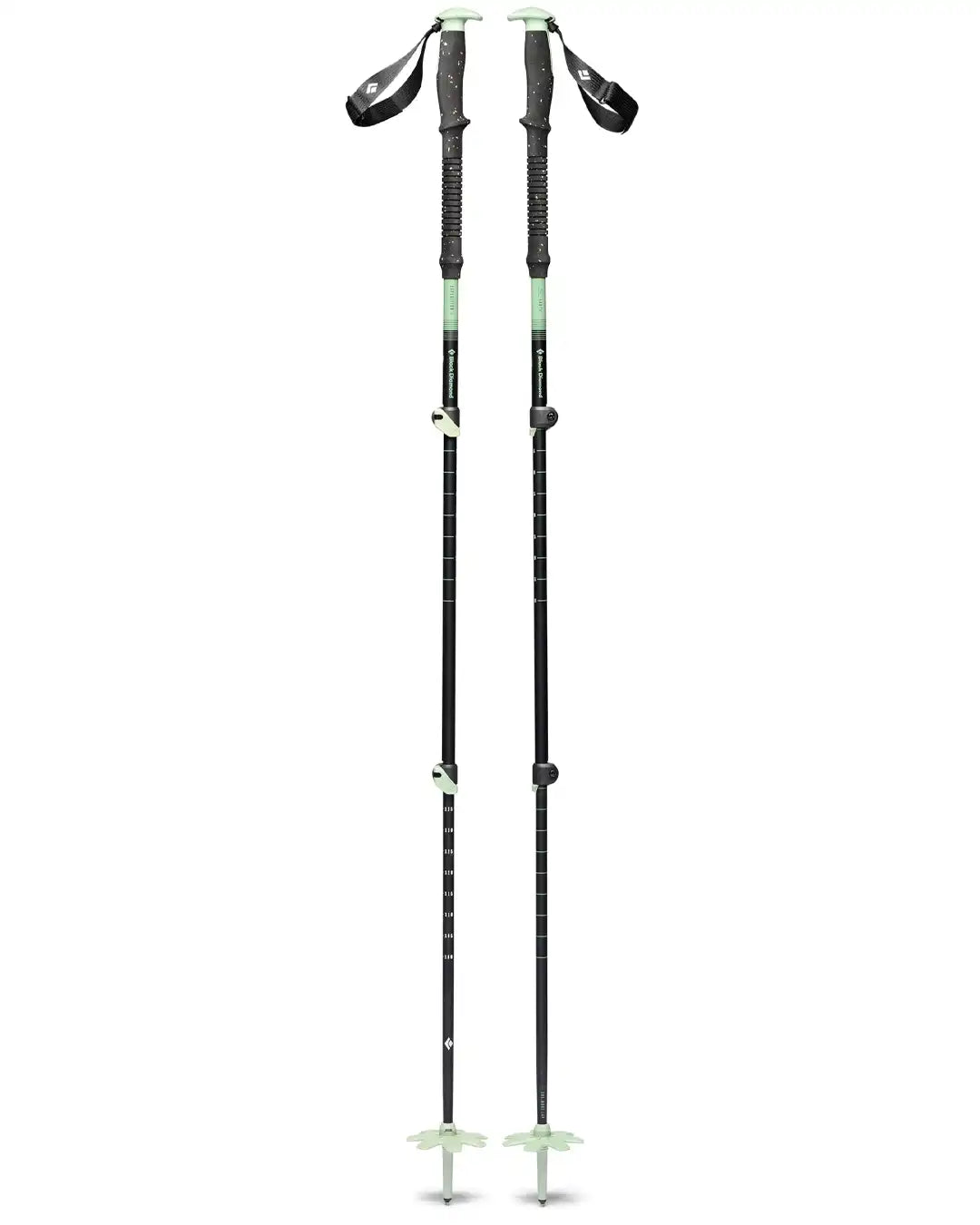 Expedition 3 Ski Poles - Desert Sage