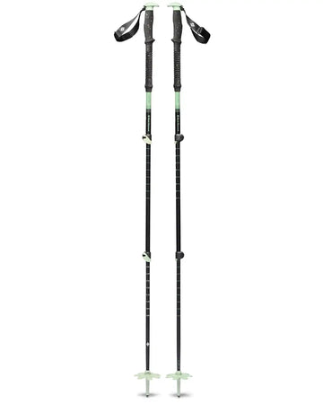 Expedition 3 Ski Poles - Desert Sage