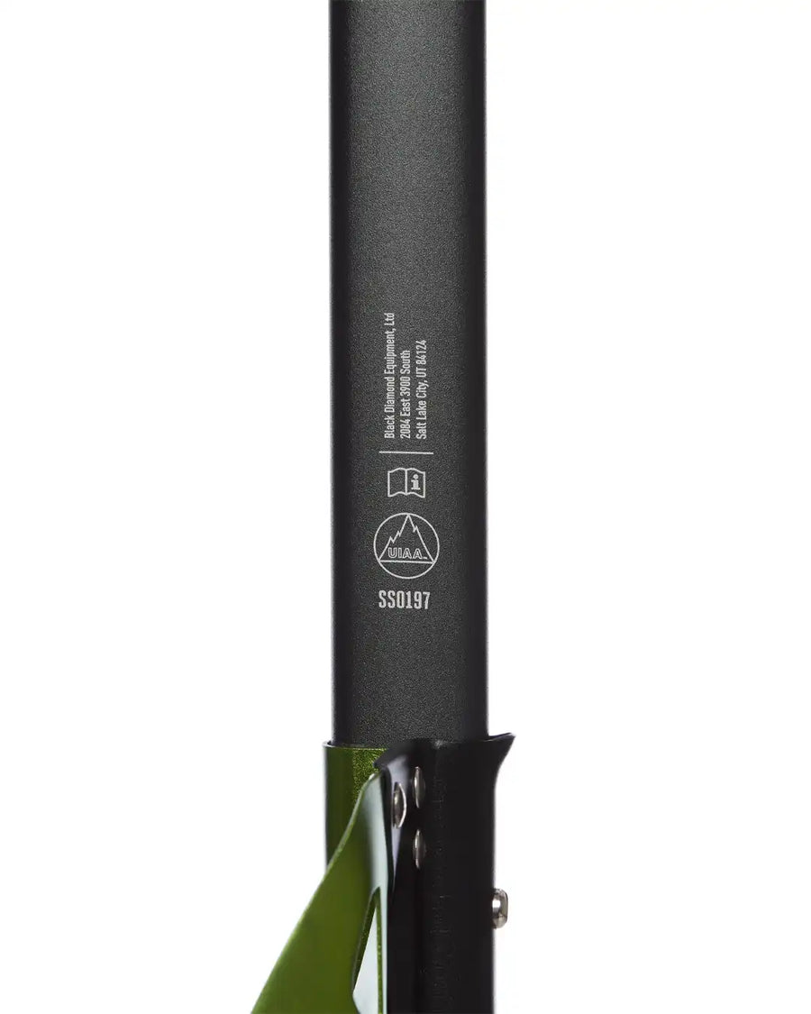 Pelle Transfer Lt - Envy Green