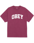 Collegiate T-Shirt - Pigment Berry