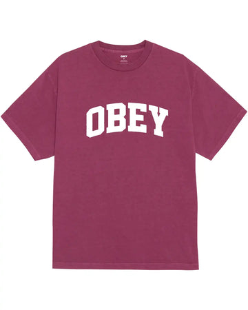 Collegiate T-Shirt - Pigment Berry