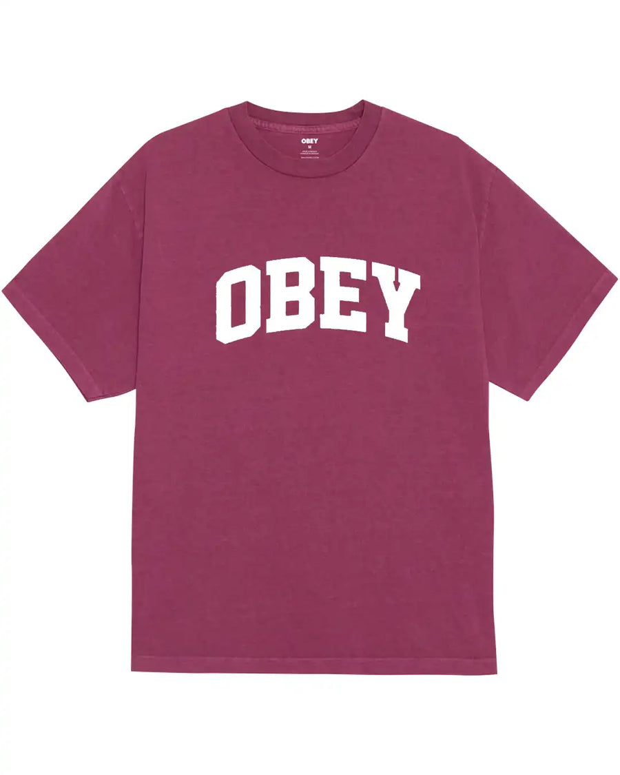 Collegiate T-Shirt - Pigment Berry