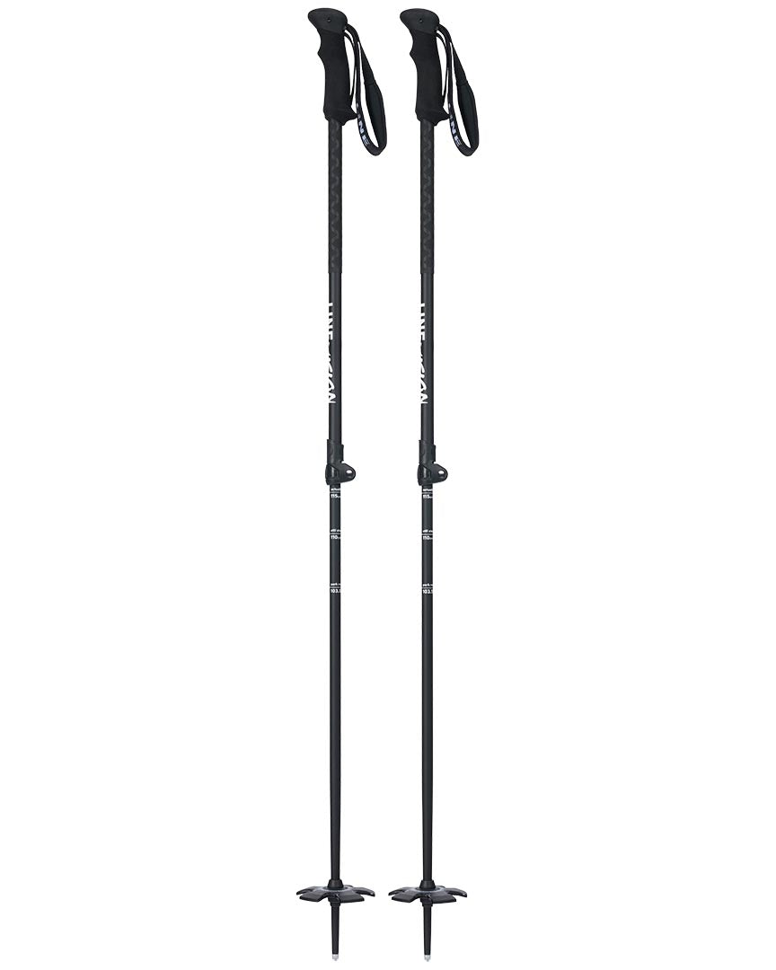 Vision Ski Poles - Black