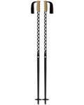 Pôles de ski Ridgemont - Black