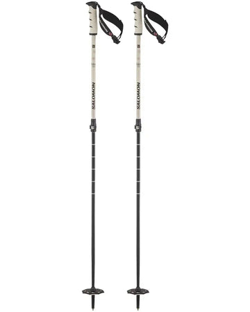Steep Vario S3 Ski Poles - Rainy Day