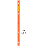 Rails Juice Bars - Orange
