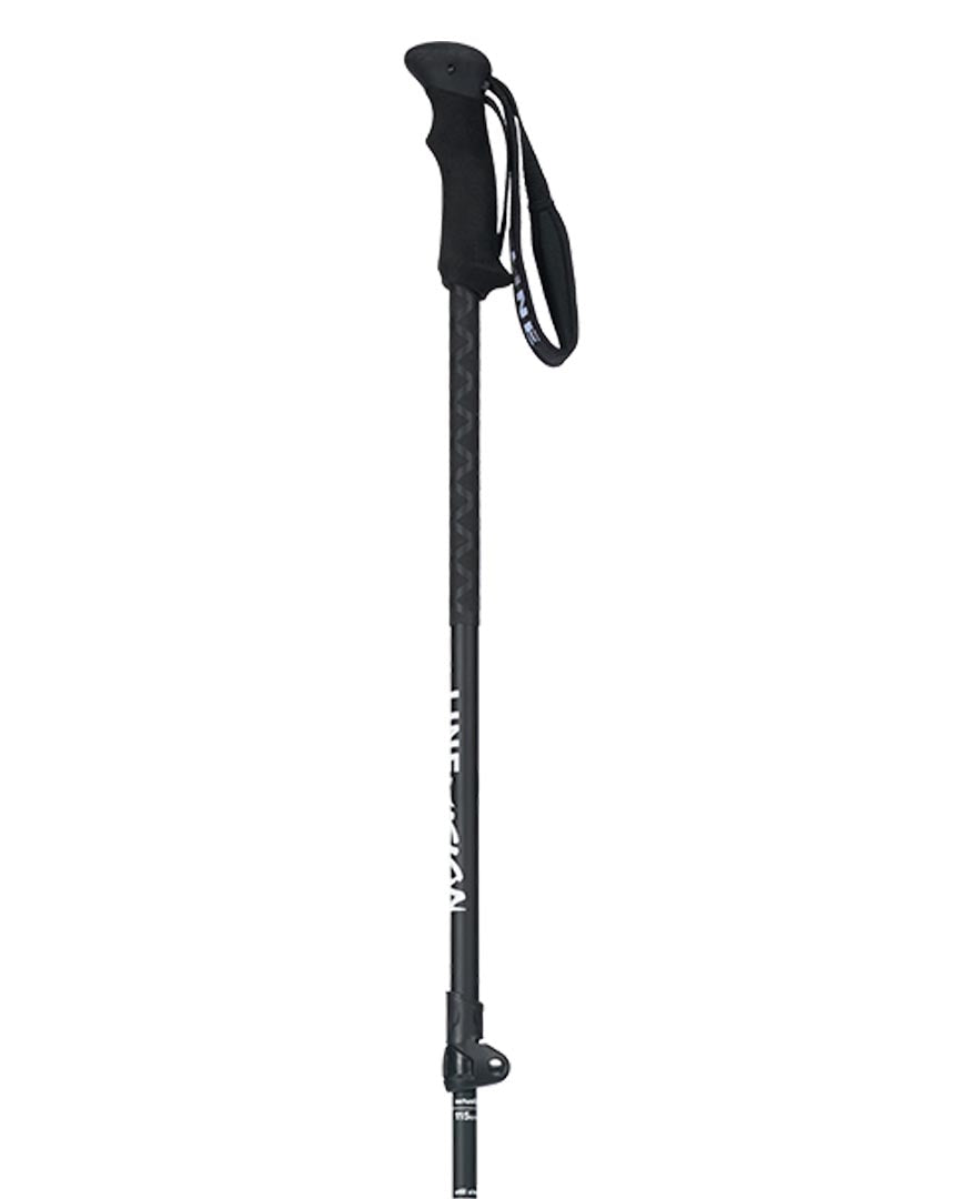 Vision Ski Poles - Black