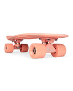 Coral 22" Complete Cruiser Skateboard
