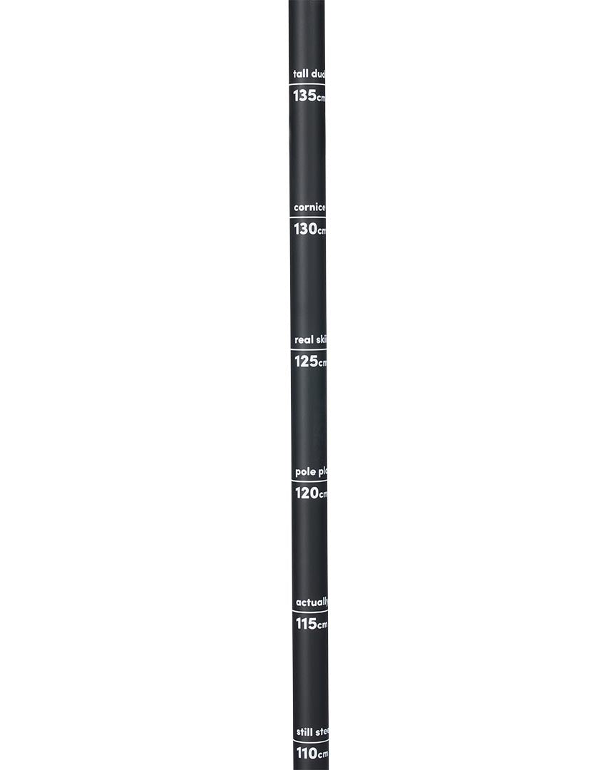 Vision Ski Poles - Black