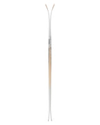 Backland 95 Skis 2027