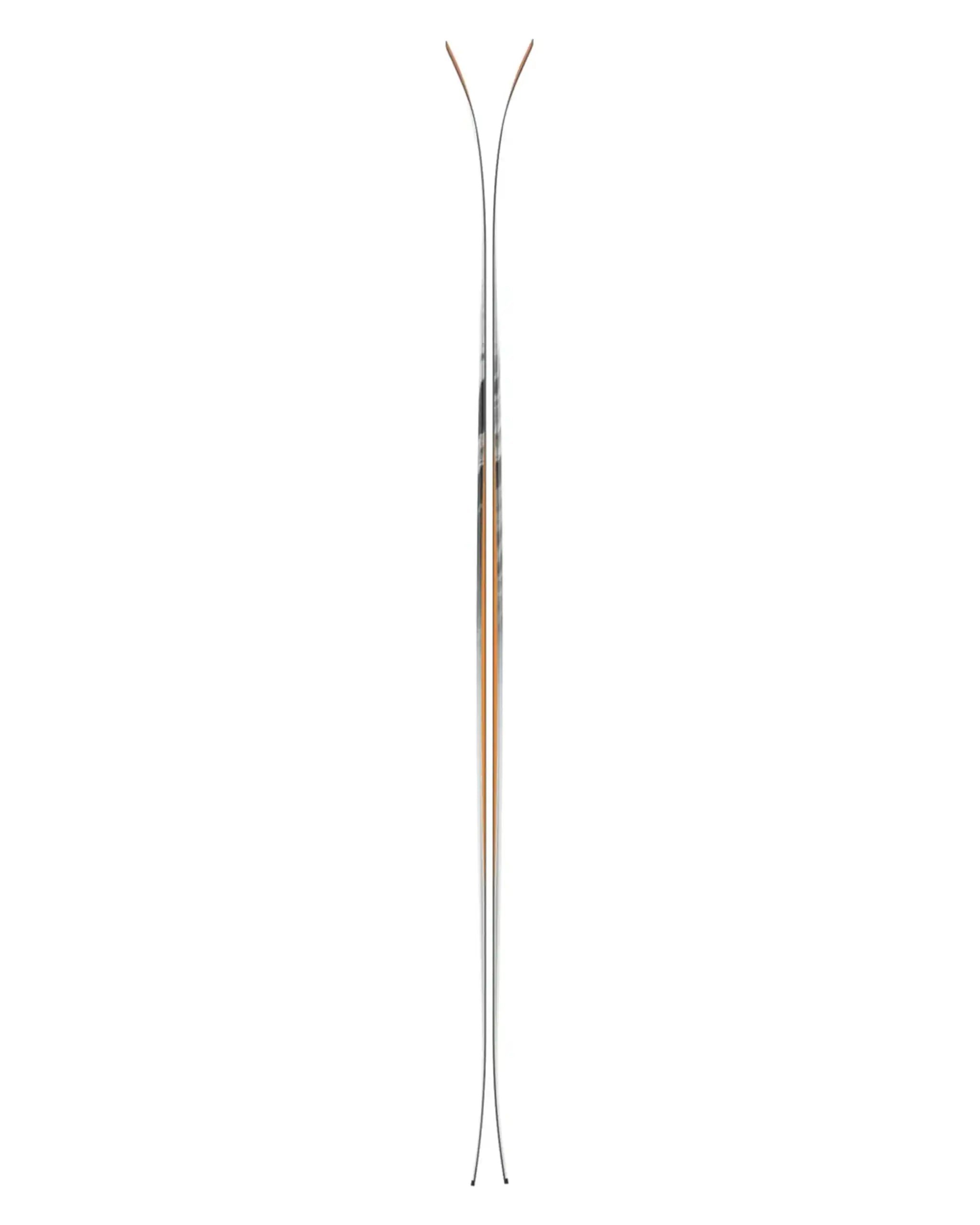 Backland 95 Skis 2027
