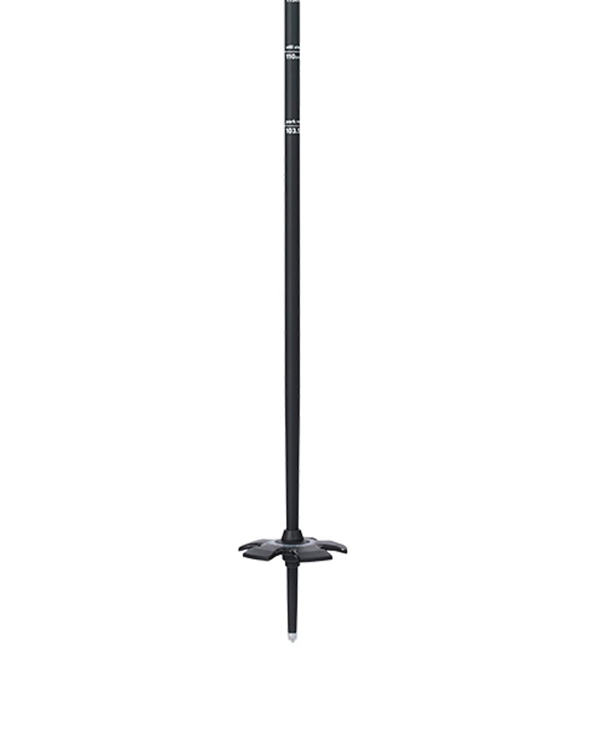 Vision Ski Poles - Black