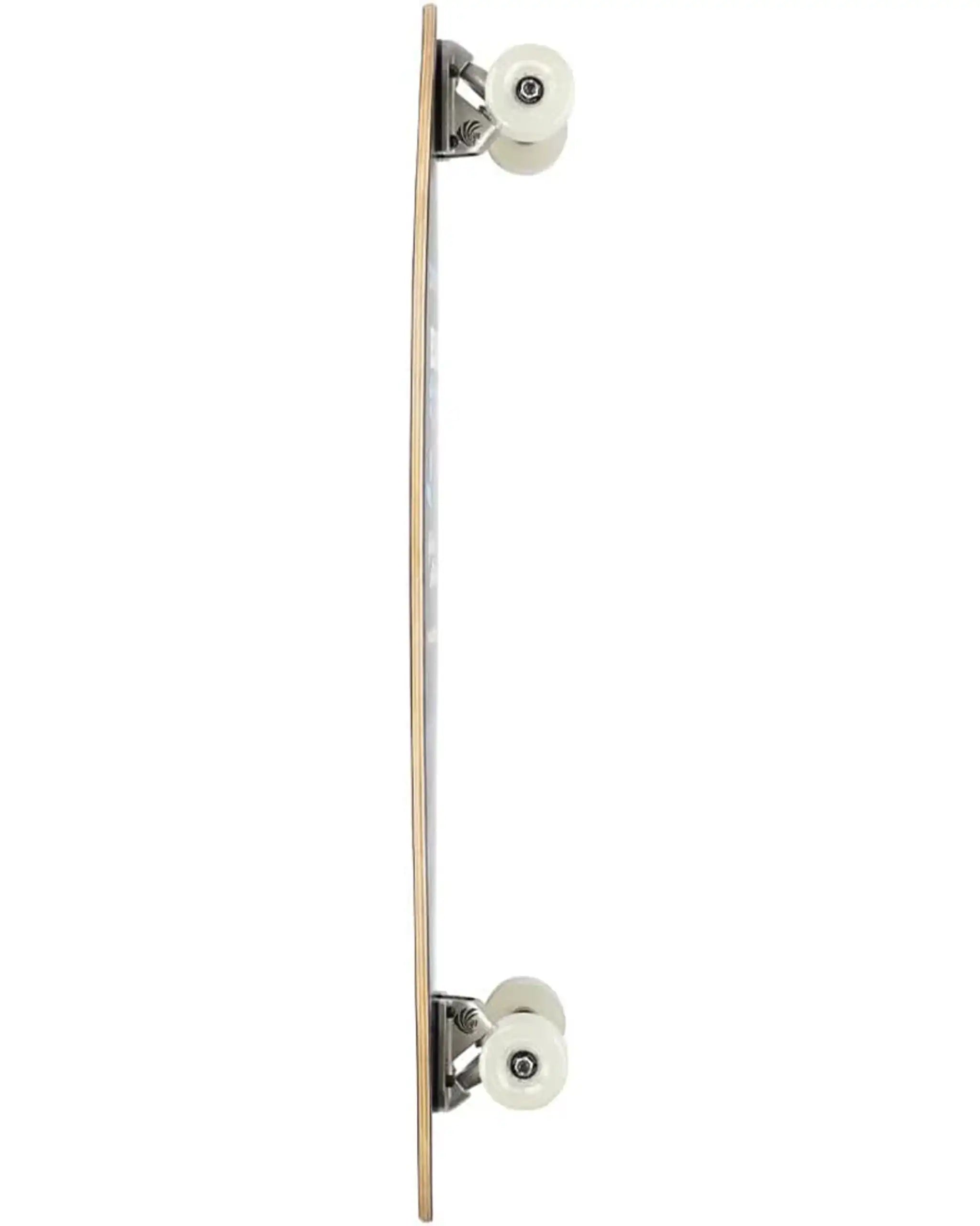 Longboard Complet Pintail Artist Fish 37
