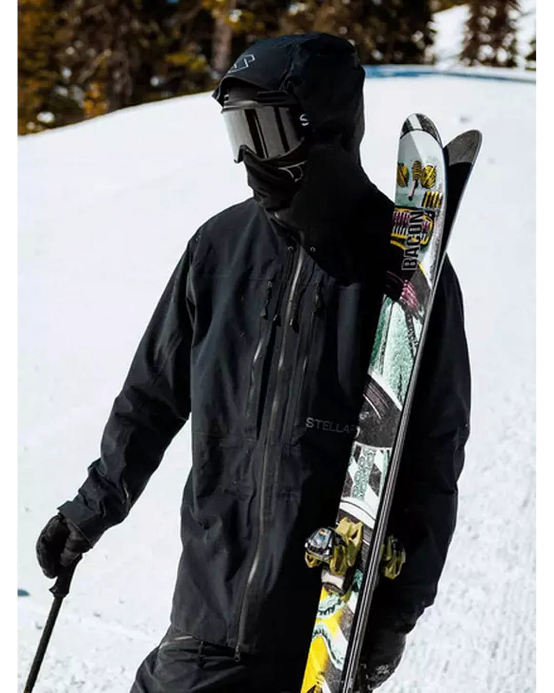 Skis Bacon 108 2025