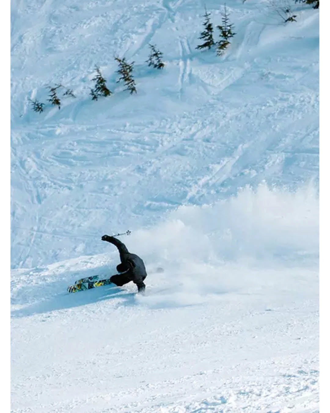 Skis Bacon 108 2025