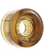 Longboard Complet Pintail Groundswell Fish 37