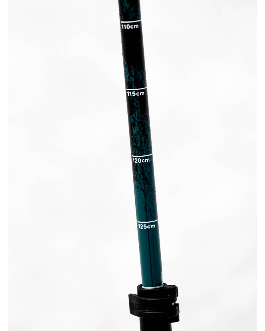 Paint Brush Ski Poles - Black/Green