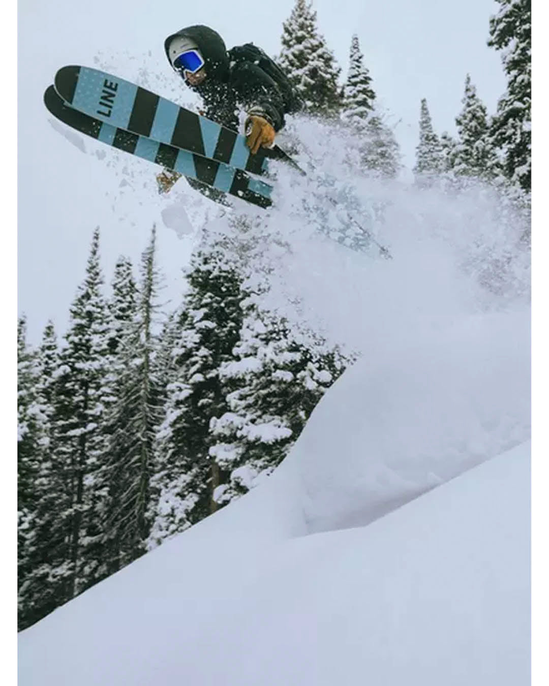 Pescado Skis 2025