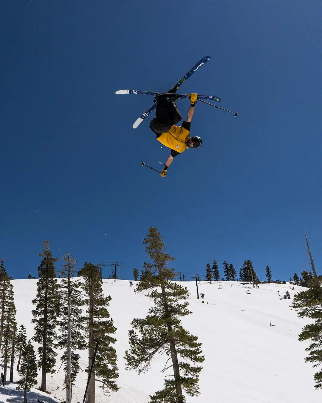 Studio 1 A-Hall Skis 2026